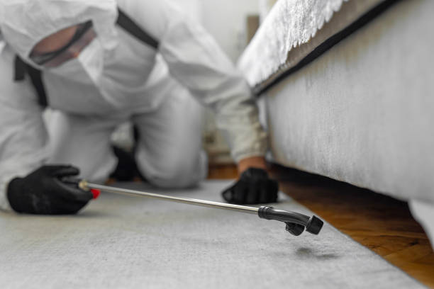 Professional Termite Control technician working in MacDonnell Heights, NY